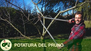 La POTATURA del PRUNO  Il contadino Nick [upl. by Adiam]