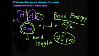 62 Covalent Bonding and Molecular Compounds [upl. by Accebber]