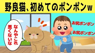 【ほのぼの】元野良猫、初めてのナデナデに対する反応が可愛いすぎたwww [upl. by Attenyw]