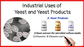 Industrial uses of yeast and yeast products [upl. by Ibbor]