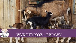 30 Wykoty kóz objawy porodu kozy [upl. by Asiil]