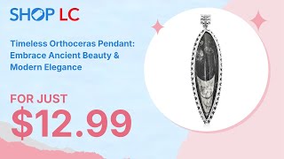 Bargain Black Orthoceras Large Pointed Pendant in Silvertone 4825ctw [upl. by Wojcik42]