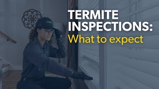 Termite Control Terminixs Full Service Solution [upl. by Sletten]