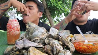 FRESH TALABA  UNI SEA URCHIN MUKBANG  FRESH OYSTER MUKBANG HD [upl. by Zailer]