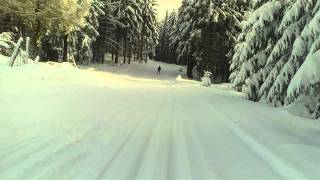 Skilanglauf Abfahrt in Oberhof [upl. by Anahoj]