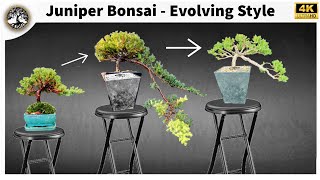 Juniper Bonsai  Evolving Style [upl. by Tihw]