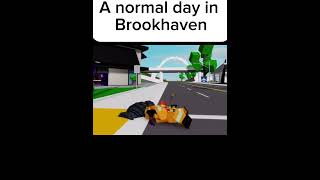 A normal day in Brookhaven [upl. by Lorrimor]