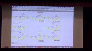 Catalytic Strategies [upl. by Goodhen]