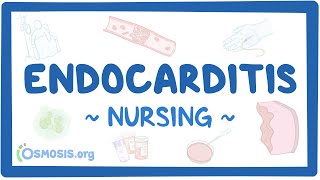 Endocarditis Clinical Nursing Care [upl. by Atinit629]