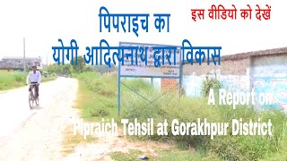 Pipraich tehsil Gorakhpur पिपराइच Ka Vikas by Yogi Adityanath Video [upl. by Sufur]