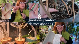 QUESTIONS PLANTES de mes abonnés 🌿 Monstera  cochenilles  pédoncules  Arrosage et autres thèmes 😊 [upl. by Annehs]