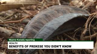 HEALTH BENEFITS OF PREKESE YOU DIDNT KNOW [upl. by Nollahp]