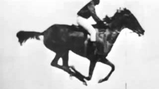 The horse in motion Eadweard Muybridge 1878 First Film Ever [upl. by Norvil]