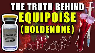 THE TRUTH BEHIND EQUIPOISE  Does Boldenone Aromatize Into Estradiol Or Act As An AI [upl. by Haya]