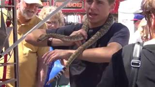 Handling A Rattlesnake  Mangum Rattlesnake Roundup 2013 [upl. by Aihseit]