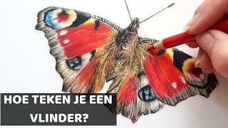 Hoe teken je een VLINDER met KLEURPOTLOOD [upl. by Darell885]