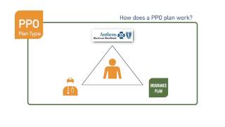 What is a PPO health insurance plan [upl. by Carolee496]