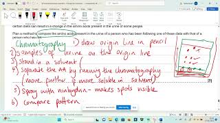 OCR A past exam Qs Biological Molecules part 6 Amino acid chromatography [upl. by Ilaw]