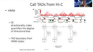 2020 STAT115 Lect152 Topologically Associating Domains [upl. by Goodard]