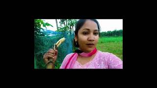 কিছু মানুষ জীবন আসে viralvideo sot foryou [upl. by Faun]