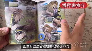 動物最強王 ｜￼最強王系列 ｜￼刺激不容有失的生死決戰 ｜入門橋樑書 ｜￼中低級橋樑書￼￼ [upl. by Maccarthy]