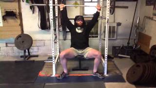 Seated Overhead Pin Press [upl. by Aldous385]