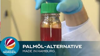 PalmölAlternative Wissenschaftler aus Harburg entwickeln quotgrüne Ölequot [upl. by Reckford]