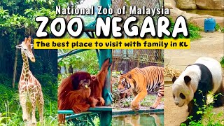 Zoo Negara Kuala Lumpur  Best Things to do in Kuala Lumpur Malaysia [upl. by Ojeillib]