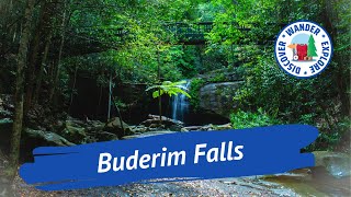 🍃 Buderim Falls  Walk to Buderim Falls  Serenity Falls in Buderim Forest Park Queensland [upl. by Ellak]