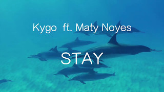 【洋楽和訳】Kygo ft Maty Noyes  Stay（Lyrics） [upl. by Amiarom152]