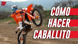 Cómo hacer UN CABALLITO en MOTO o wheelie 🔴 ¡TRUCOS Y CONSEJOS 🏍️🔝 [upl. by Satterlee]