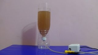 How to Hatch Brine Shrimp Eggs [upl. by Clayberg861]