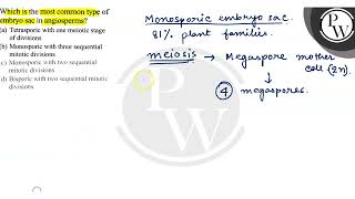 Which is the most common type of embryo sac in angiosperms a Tet [upl. by Enohpets958]