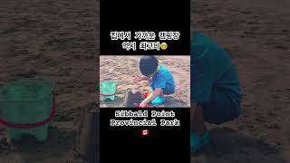 집에서 한 시간도 안 걸리는 Sibbald Point Park 할부지 할무니가 계신 캠핑장으로 고고 캠핑 캐나다 브이로그 [upl. by Wertheimer57]