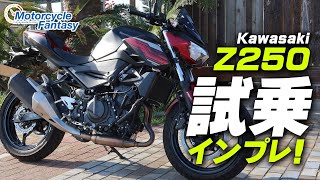 Kawasaki Z250 試乗インプレッション！ Motorcycle Fantasy [upl. by Anwadal666]