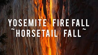 4k Yosemite Firefall  Horsetail falls  2021 [upl. by Yhtommit771]