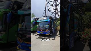 Review 1  Bus Sumber Jaya quotCunakquot shorts reviewbus basuri [upl. by Florida]