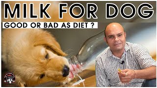 Milk for Dogs  Good or Bad Milk Diet for Small Puppy Dog Breeds  Dog Pet Food  Baadal Bhandaari [upl. by Bettzel]