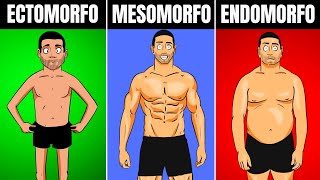 AS VANTAGENS e DESVANTAGENS de CADA BIOTIPO Ectomorfo Endomorfo e Mesomorfo  CORPO HIPERTROFIADO [upl. by Tebazile]