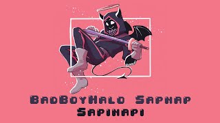 BadBoyHalo amp Sapnap  Sapinapi TinySteel Remix [upl. by Malvino]