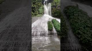 Napittachora Waterfalls mirsorai chattagram waterfall waterfalls shots shortvideo viral [upl. by Eiramyllek]