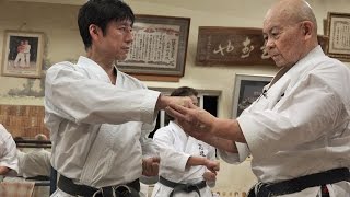 Kata UECHI SEISAN  Okinawan Karate Championships [upl. by Tyra]