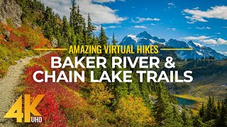 4K Virtual Hike Near River through the Forest  Baker River Trail amp Chain Lake Trail [upl. by Ylac]