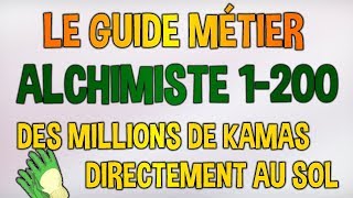 DOFUS  GUIDE MÉTIER  ALCHIMISTE NIVEAU 1200  COMMENT TRANSFORMER DE LHERBE EN MILLION DE KAMAS [upl. by Ilojna]