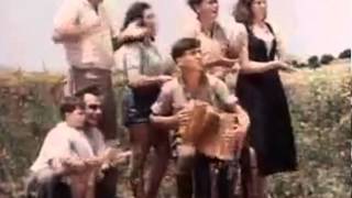 Hava Nagila  Famous Israeli jewish folk song  authentic dance [upl. by Kiel]