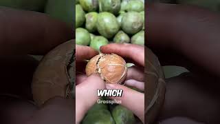 How are walnuts prepared shorts science [upl. by Sadye]