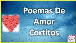 Poemas De Amor Cortitos Para Enamorar A Mi Novia [upl. by Ameh]