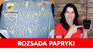 Rozsada papryki krok po kroku  jak i kiedy wysiewać paprykę [upl. by Allerbag]