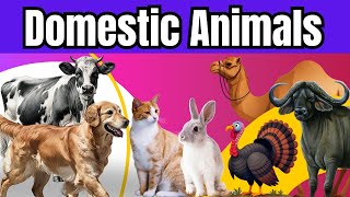 Domestic Animals  Domestic animals name in English  Fun About Domestic Animals  kids easy learn [upl. by Ahsiniuq]