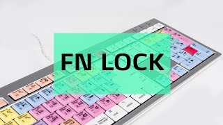 How to activate FN Lock  Logickeyboard [upl. by Kcirdahs72]